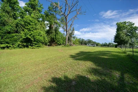a view of a field with an trees