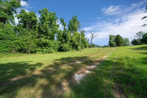 a view of grassy field with trees