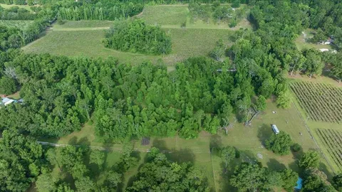 a view of a lush green space