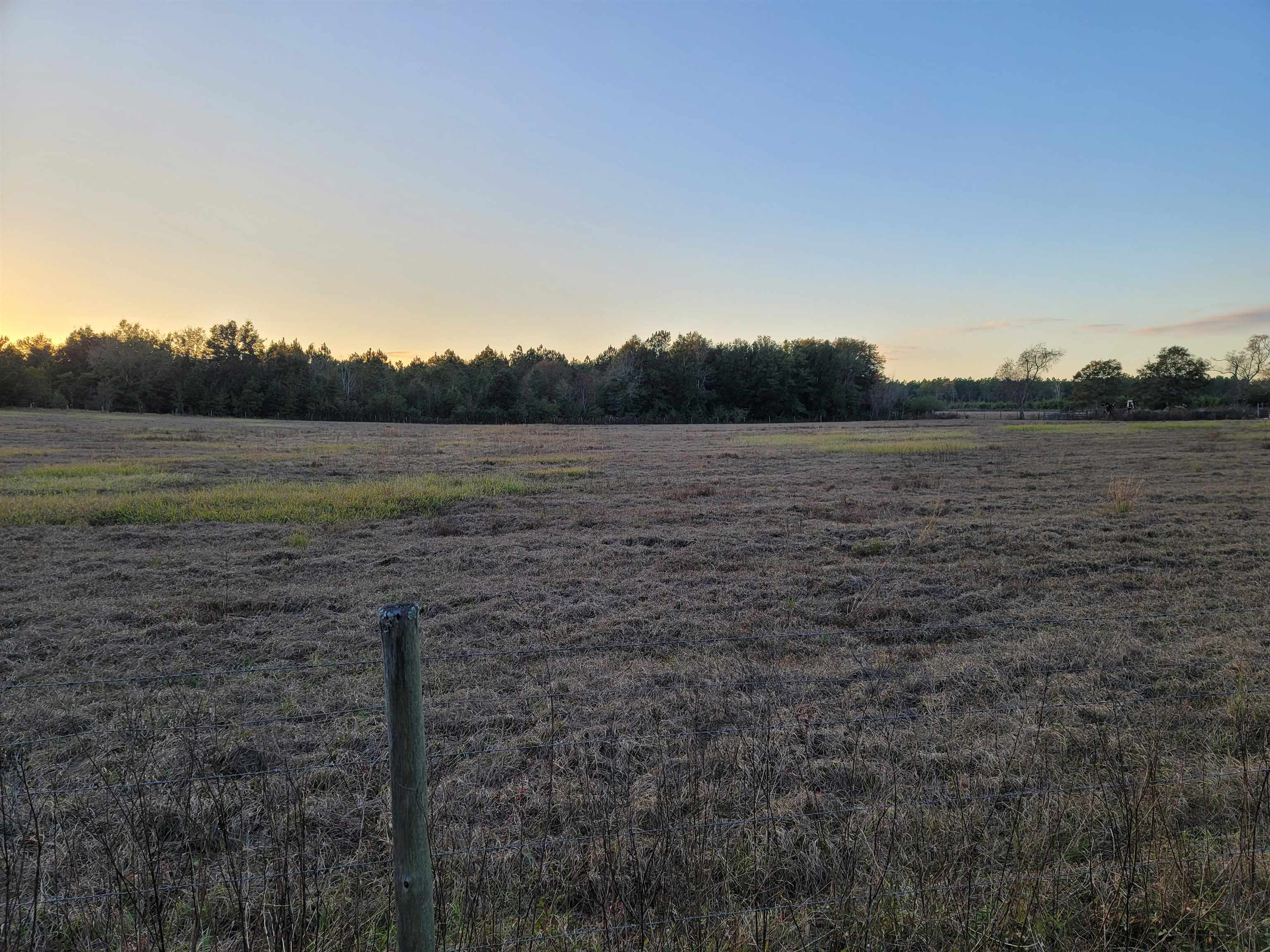 10341 County Road 91 Lillian, AL 36549 - Photo 7 of 7