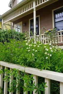 $1,049,000 | 10 Mountain Avenue, Somerville, MA 02143