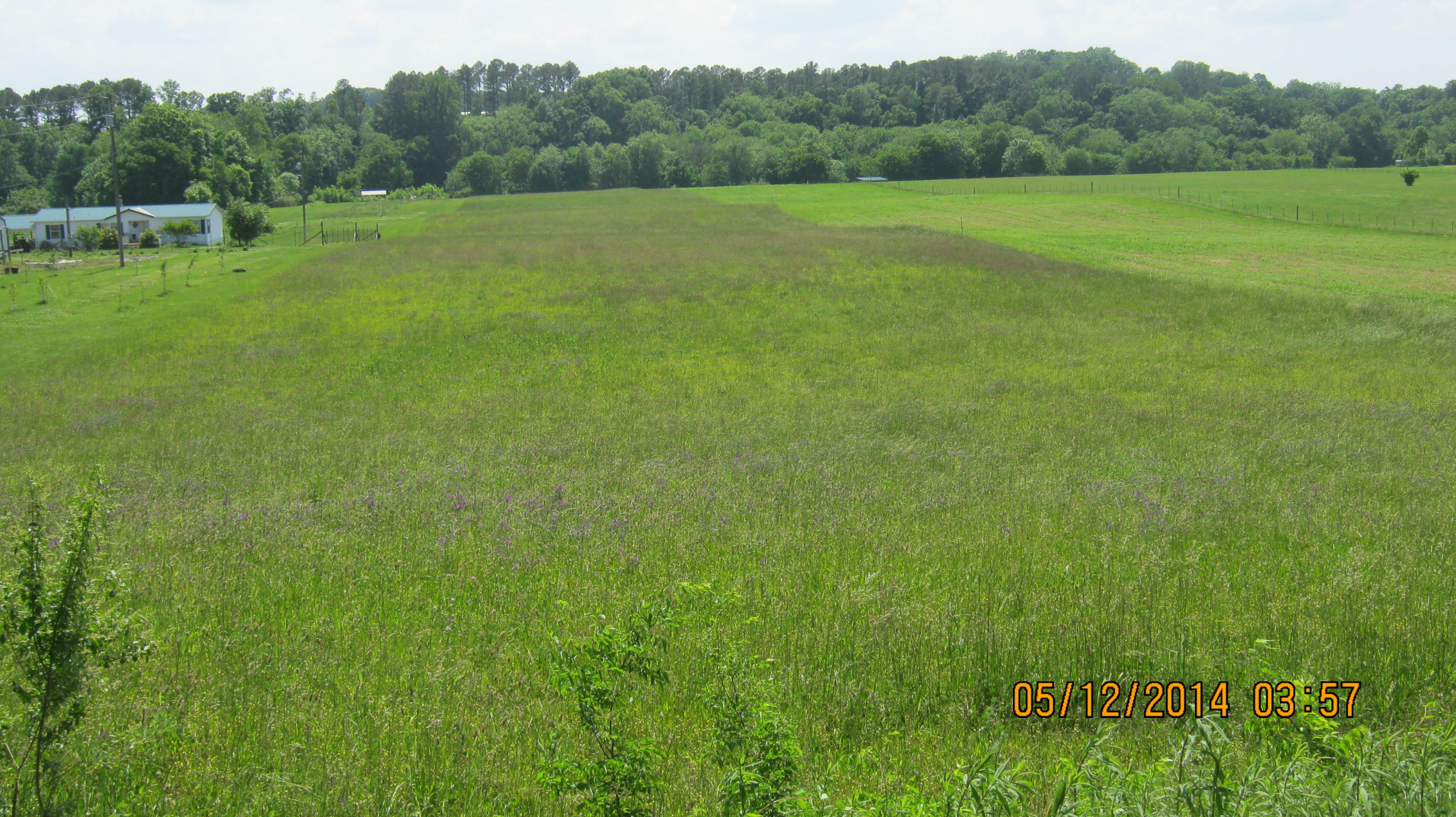 East Patty Road Benton, TN 37307 - Photo 1 of 5 IMG_1590