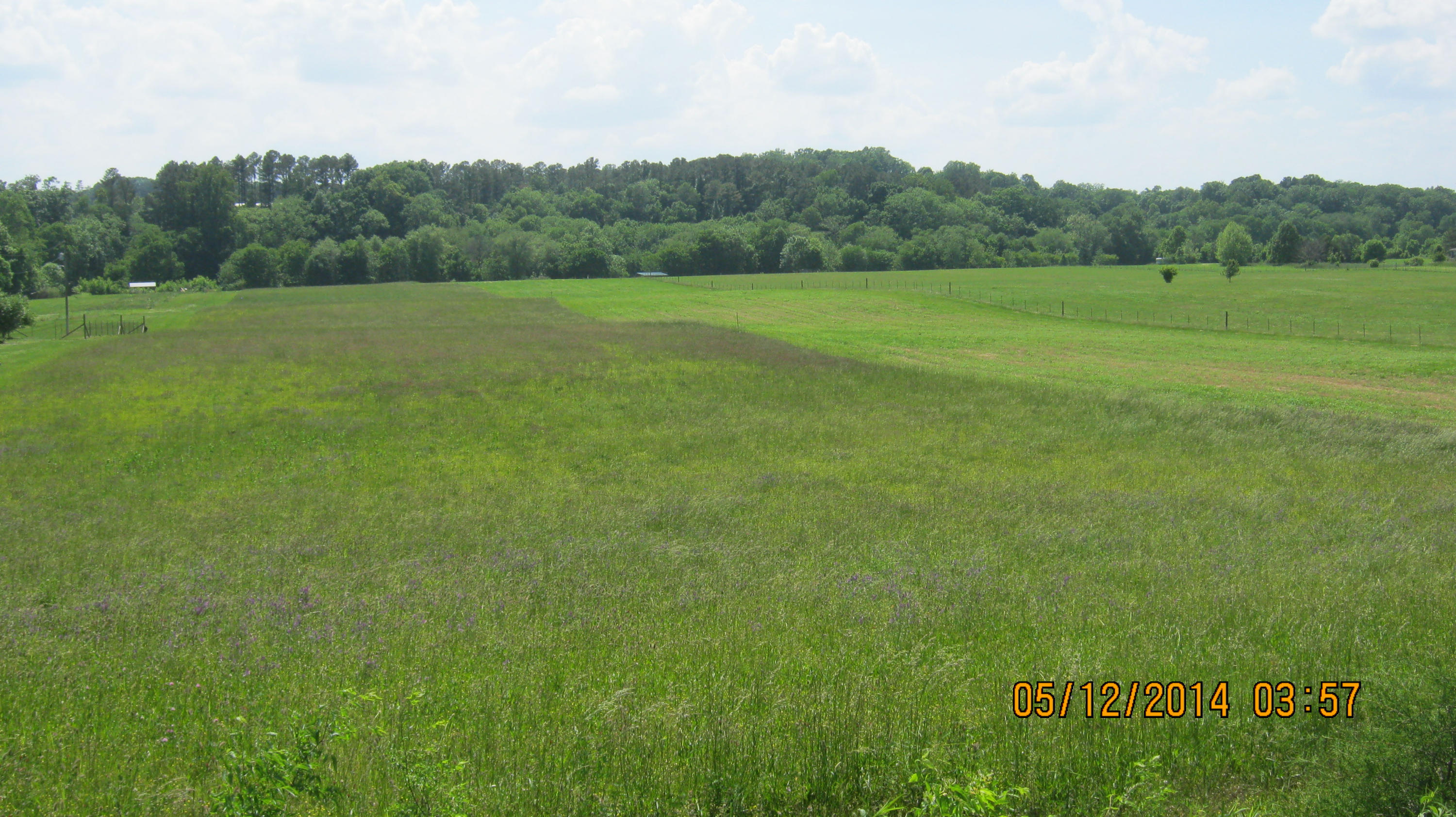 East Patty Road Benton, TN 37307 - Photo 4 of 5 IMG_1592
