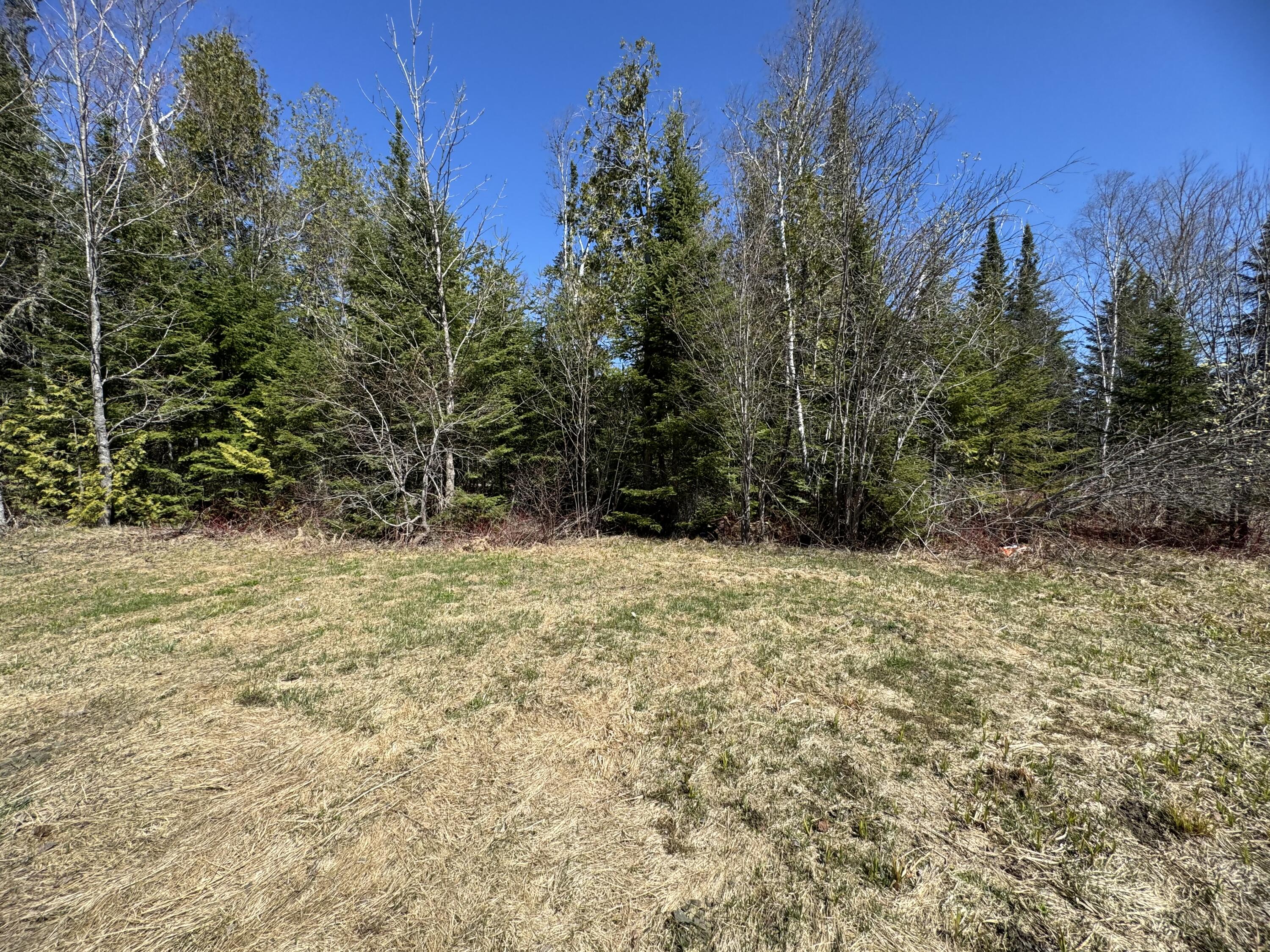964 Tangle Ridge Road Perham, ME 04766 - Photo 2 of 18 IMG_2273