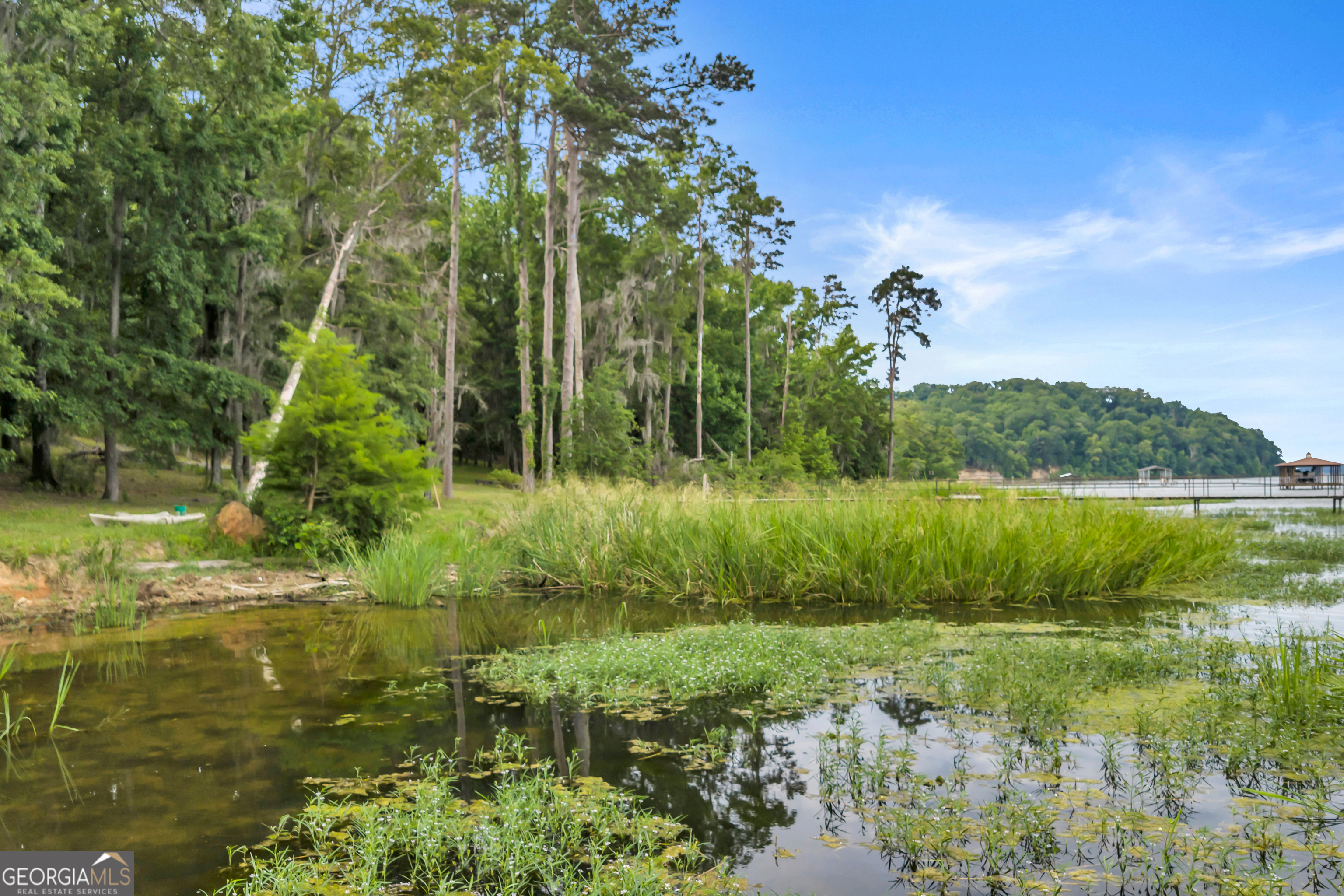 473 Vining Branch Road Georgetown, GA 39854 - Photo 41 of 43 a view of a lake view with a garden