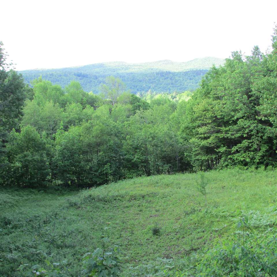 1233 Thomas Hill Road Halifax, VT 05301 - Photo 8 of 15