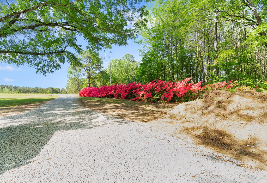 324 East Scotch Cross Road Greenwood, SC 29646 - Photo 21 of 24 Gallery Image 21