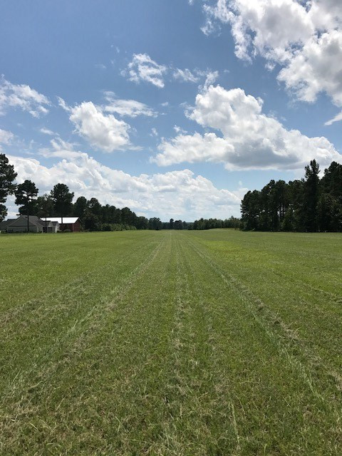 Lot R-2 Wexford Mill Road Wagener, SC 29164 - Photo 3 of 14