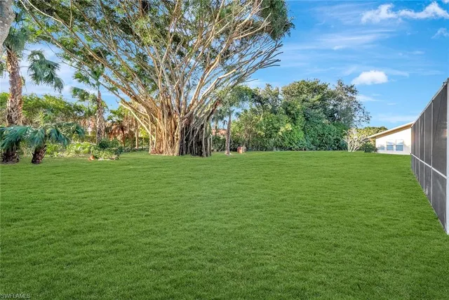 a view of a trees with a big yard