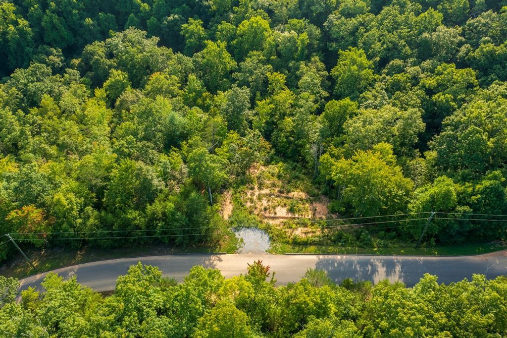 1633 Pinestand Rdg Way Sevierville, TN 37862 - Photo 5 of 15