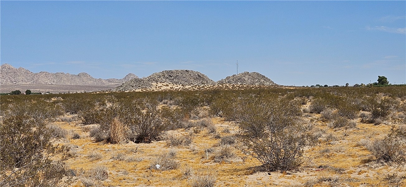 800 Lincoln Road Lucerne Valley, CA 92356 - Photo 5 of 8 Gallery Image 5