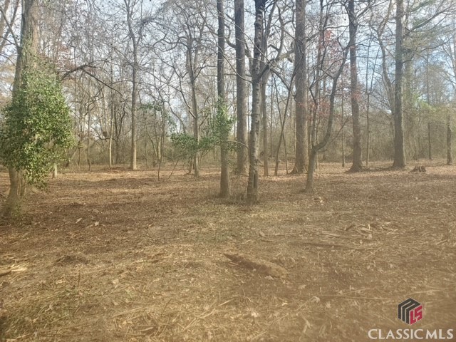 0 Potts Road Jefferson, GA 30549 - Photo 5 of 5