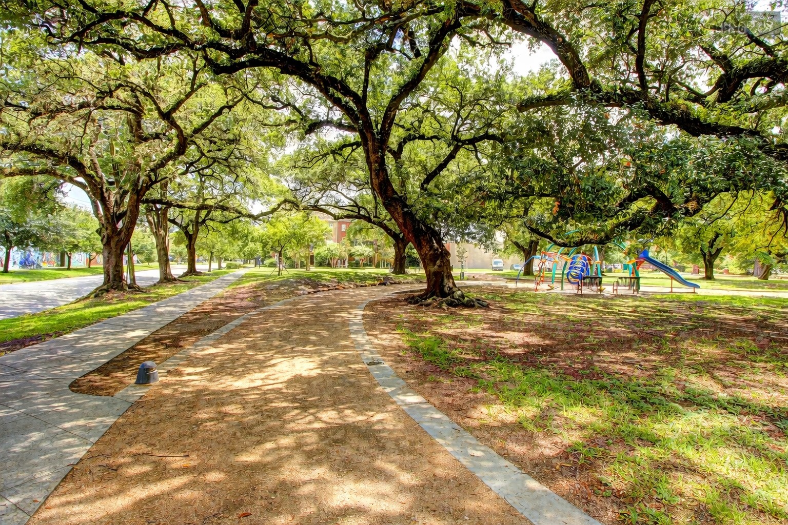 3507 Jackson Street Houston, TX 77004 - Photo 18 of 20 Enjoy nearby parks, green spaces, and walking trails