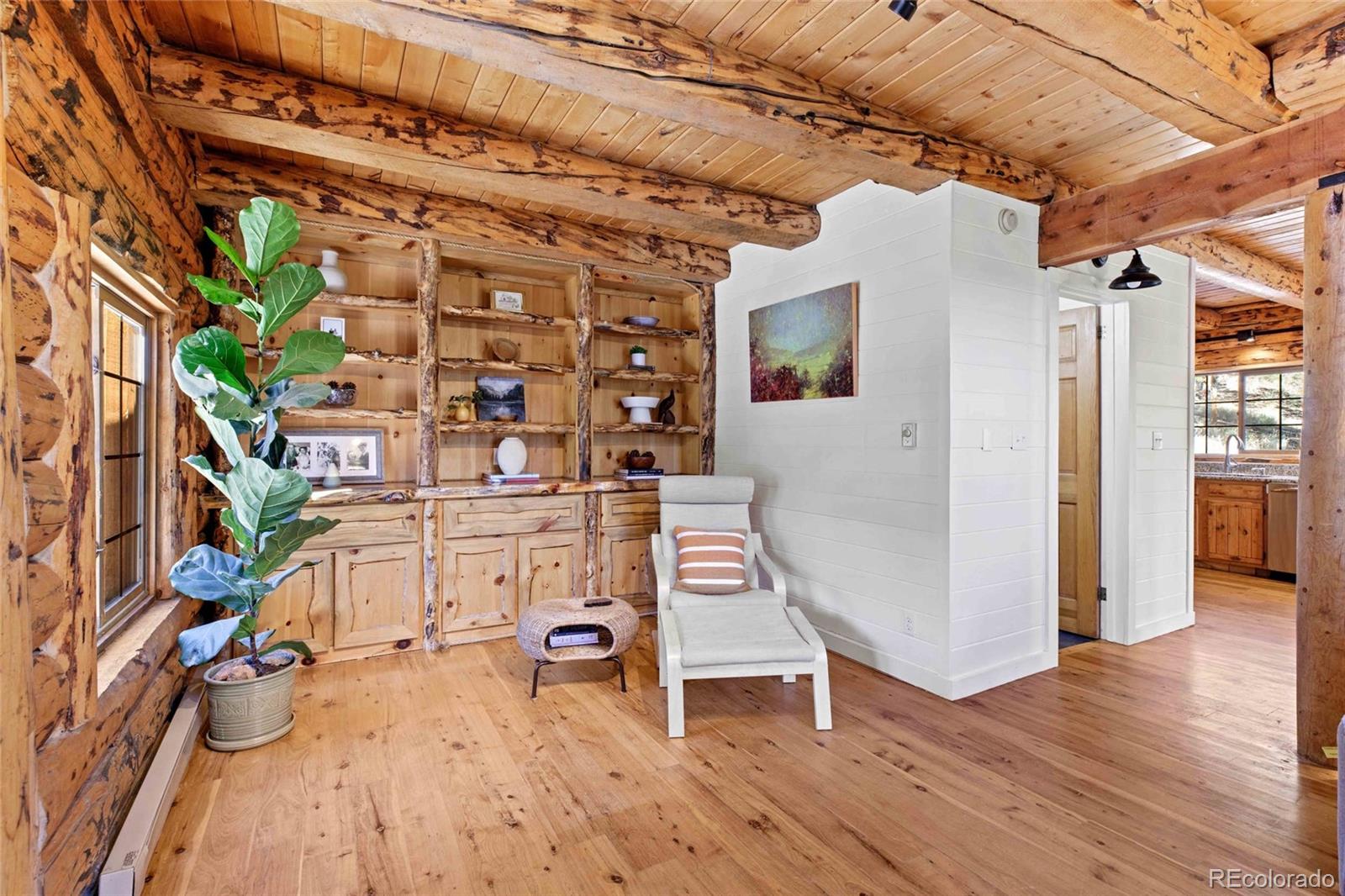 310 Holmes Gulch Road Bailey, CO 80421 - Photo 4 of 48