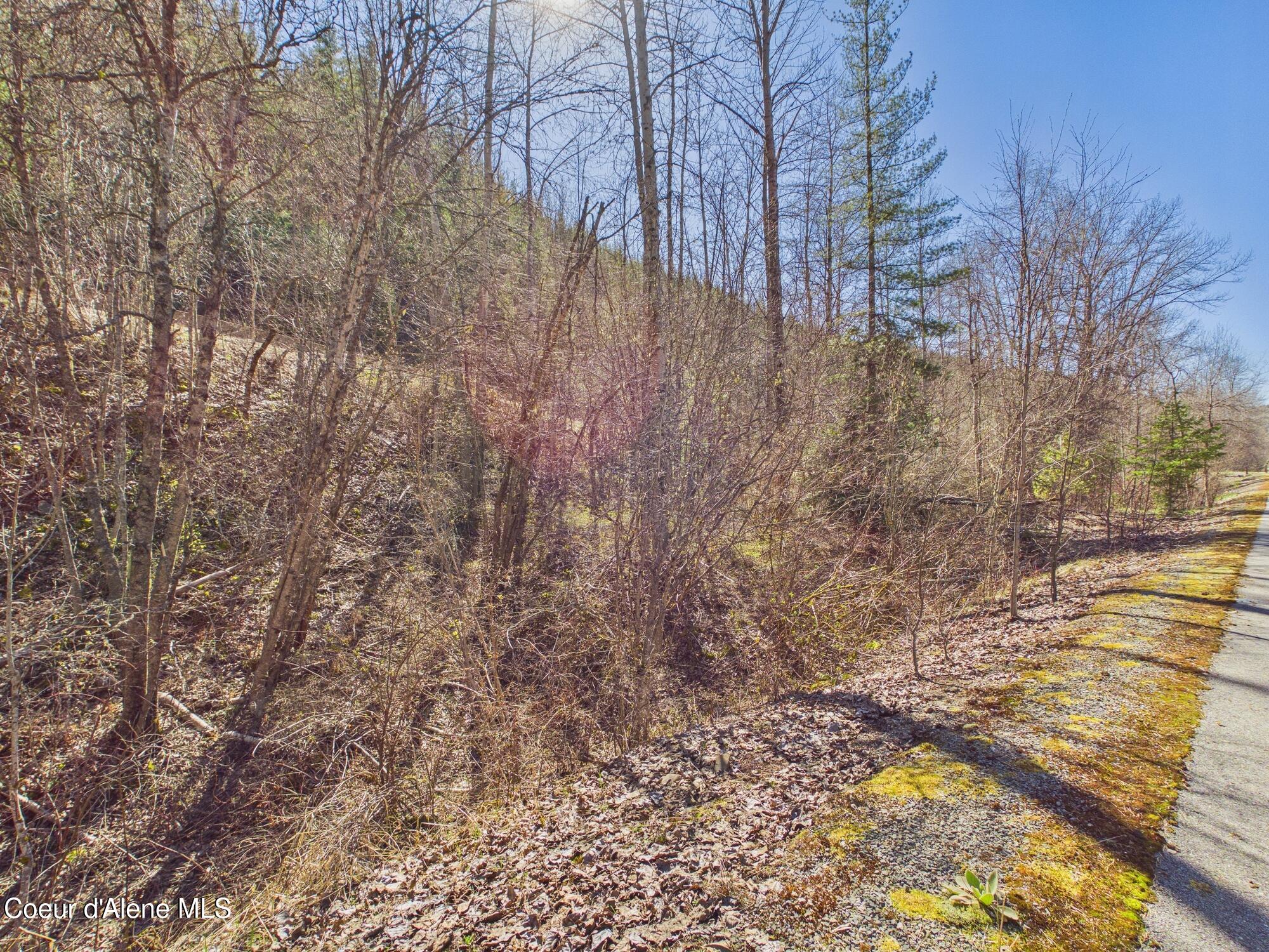 Nka Nka Country Club Road Kellogg, ID 83837 - Photo 14 of 14 14