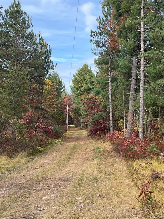 5489 Curtis Road Hale, MI 48739 - Photo 18 of 27
