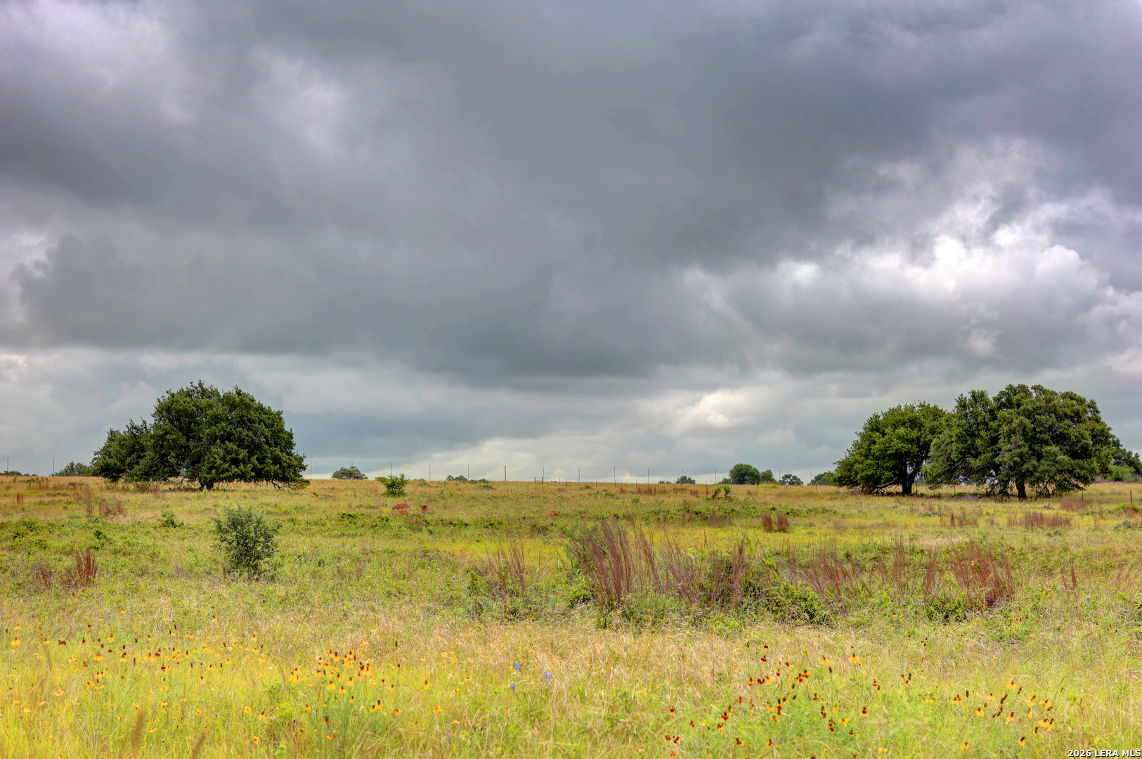 245 Northwest Big Sky Road Fredericksburg, TX 78624 - Photo 28 of 29