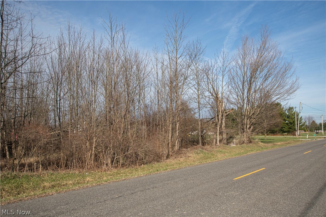 9608 Norwalk Road Litchfield, OH 44253 - Photo 43 of 48