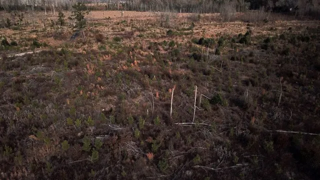 $292,000 | 0 Hampton Avenue, Blackville, SC 29817