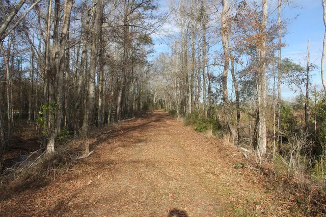 $292,000 | 0 Hampton Avenue, Blackville, SC 29817