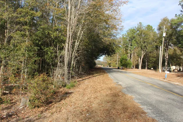 $292,000 | 0 Hampton Avenue, Blackville, SC 29817