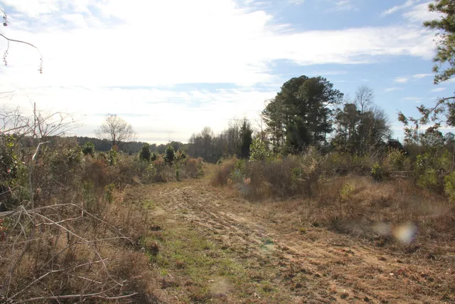 $292,000 | 0 Hampton Avenue, Blackville, SC 29817