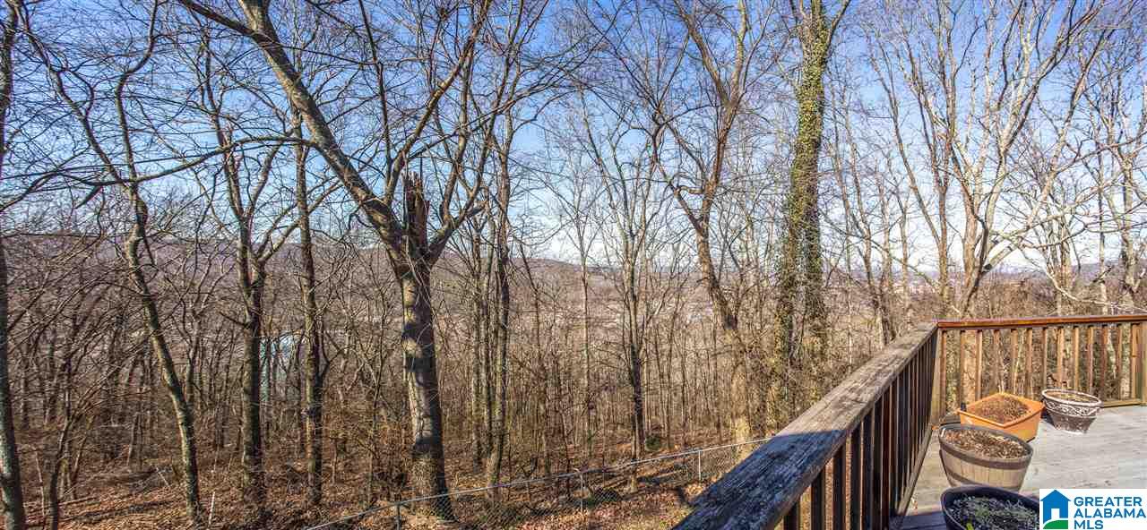 744 Hillyer High Road Anniston, AL 36207 - Photo 33 of 37