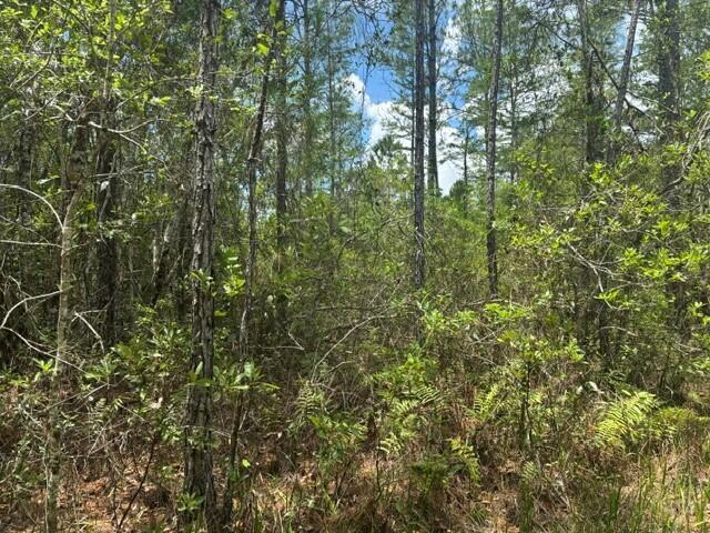 0 Water Road Clermont, FL 34714 - Photo 3 of 3 1