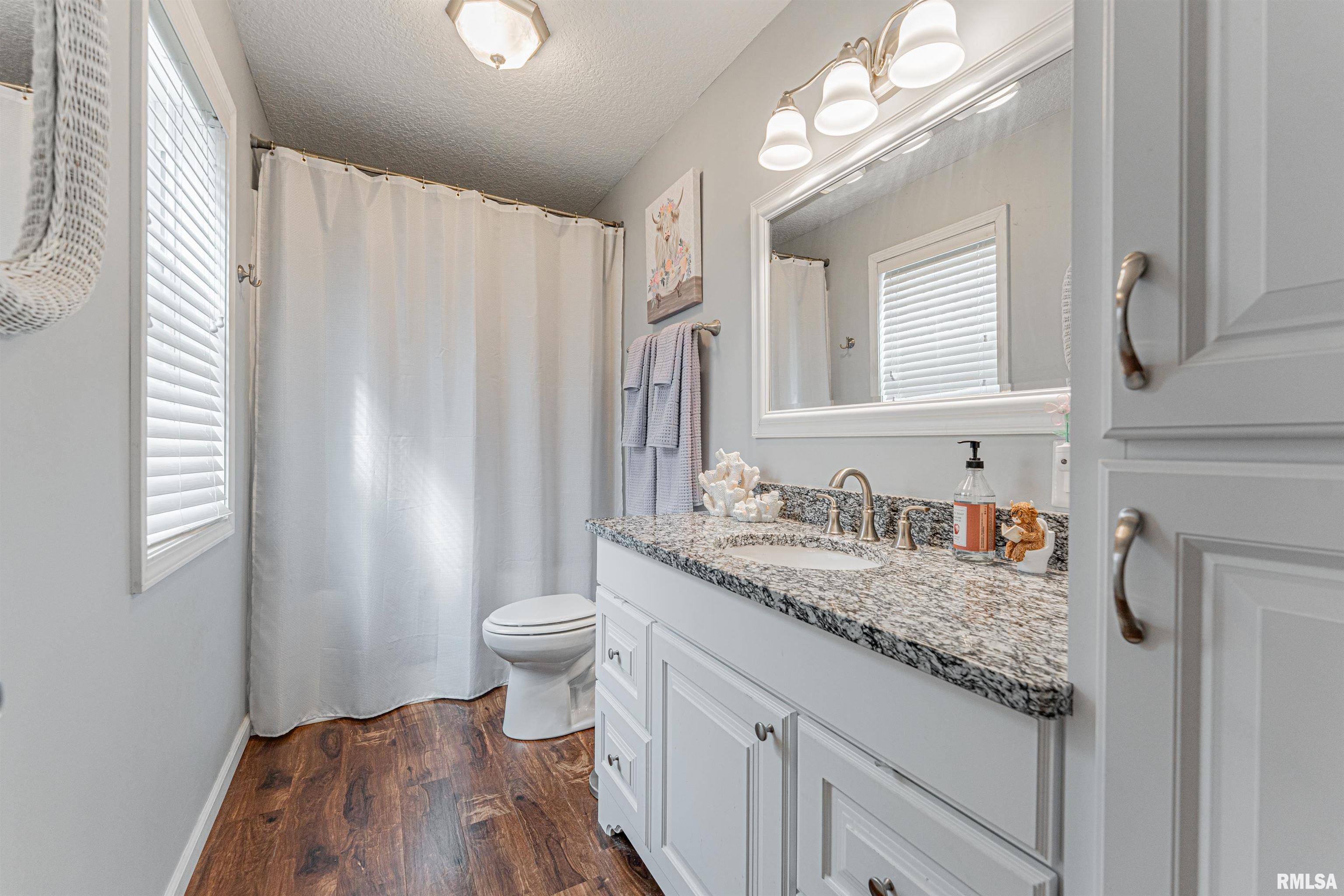305 6th Street Waynesville, IL 61778 - Photo 18 of 26