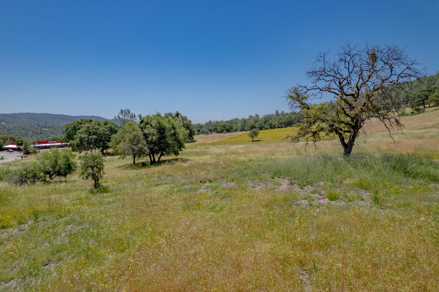 13812 Willow Glen Road Rackerby, CA 95972 - Photo 10 of 21