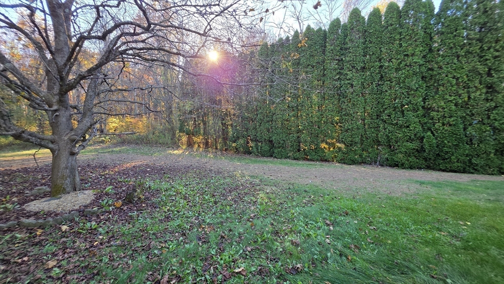 13 East Brookfield Road North Brookfield, MA 01535 - Photo 7 of 28 a view of road with large trees