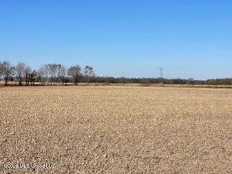 East Rosemary Road Cleveland, MS 38732 - Photo 3 of 7 Unknown-6