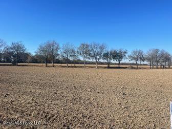 East Rosemary Road Cleveland, MS 38732 - Photo 5 of 7 Unknown-8
