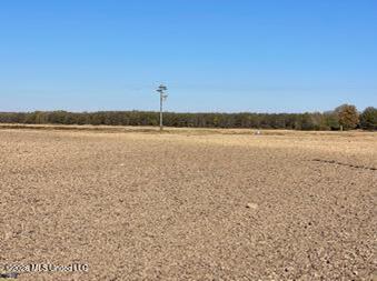 East Rosemary Road Cleveland, MS 38732 - Photo 6 of 7 Unknown-9