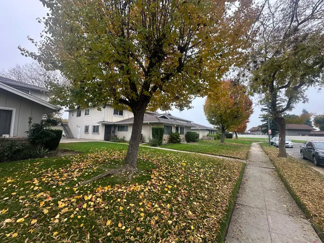 a view of a park with large trees