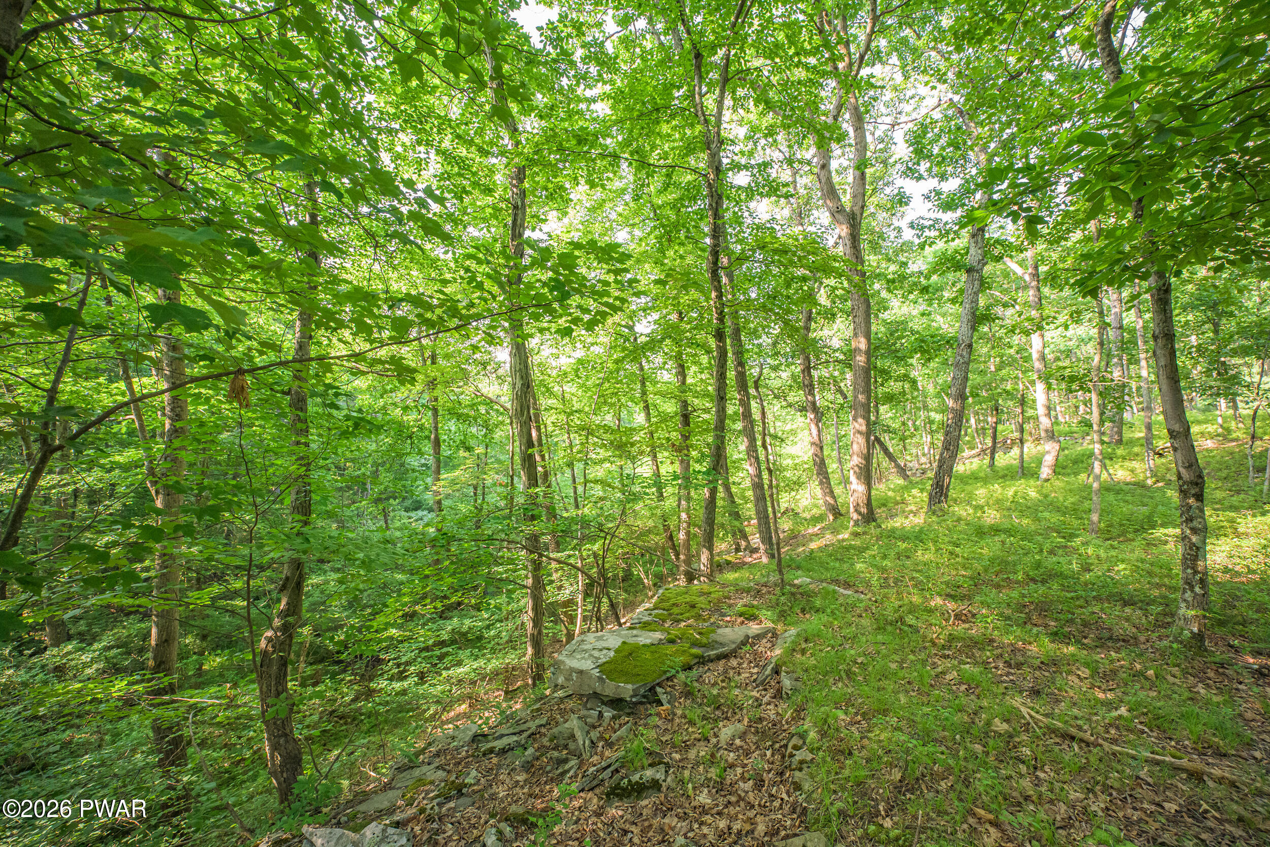 High Ridge Dingmans Ferry, PA 18328 - Photo 42 of 63