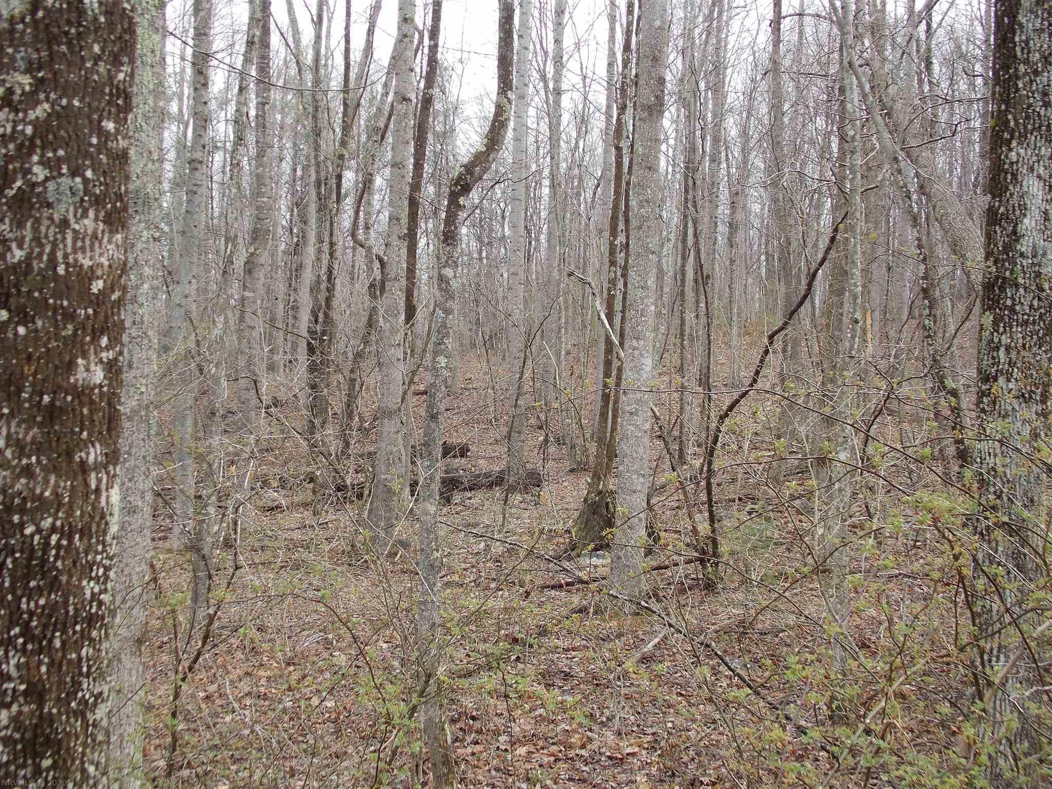 Tbd Broad Hollow Road Southeast Floyd, VA 24091 - Photo 3 of 45 Gallery Image 3