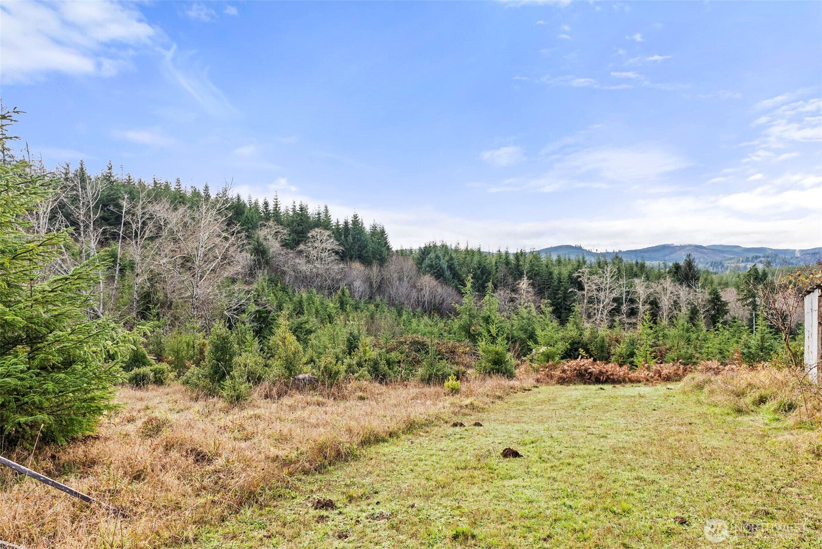 2700 Mallis Landing Road Raymond, WA 98577 - Photo 25 of 33 a view of a yard with an trees
