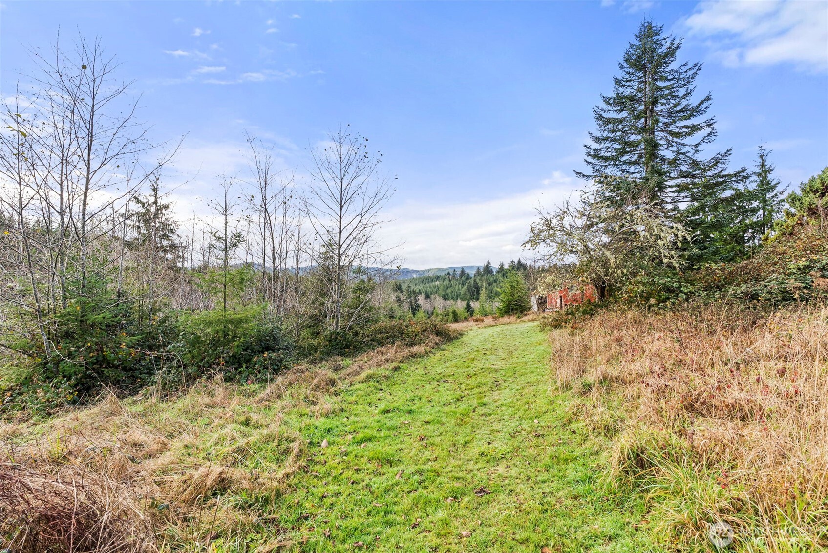2700 Mallis Landing Road Raymond, WA 98577 - Photo 27 of 33 a big yard with lots of green space and plants