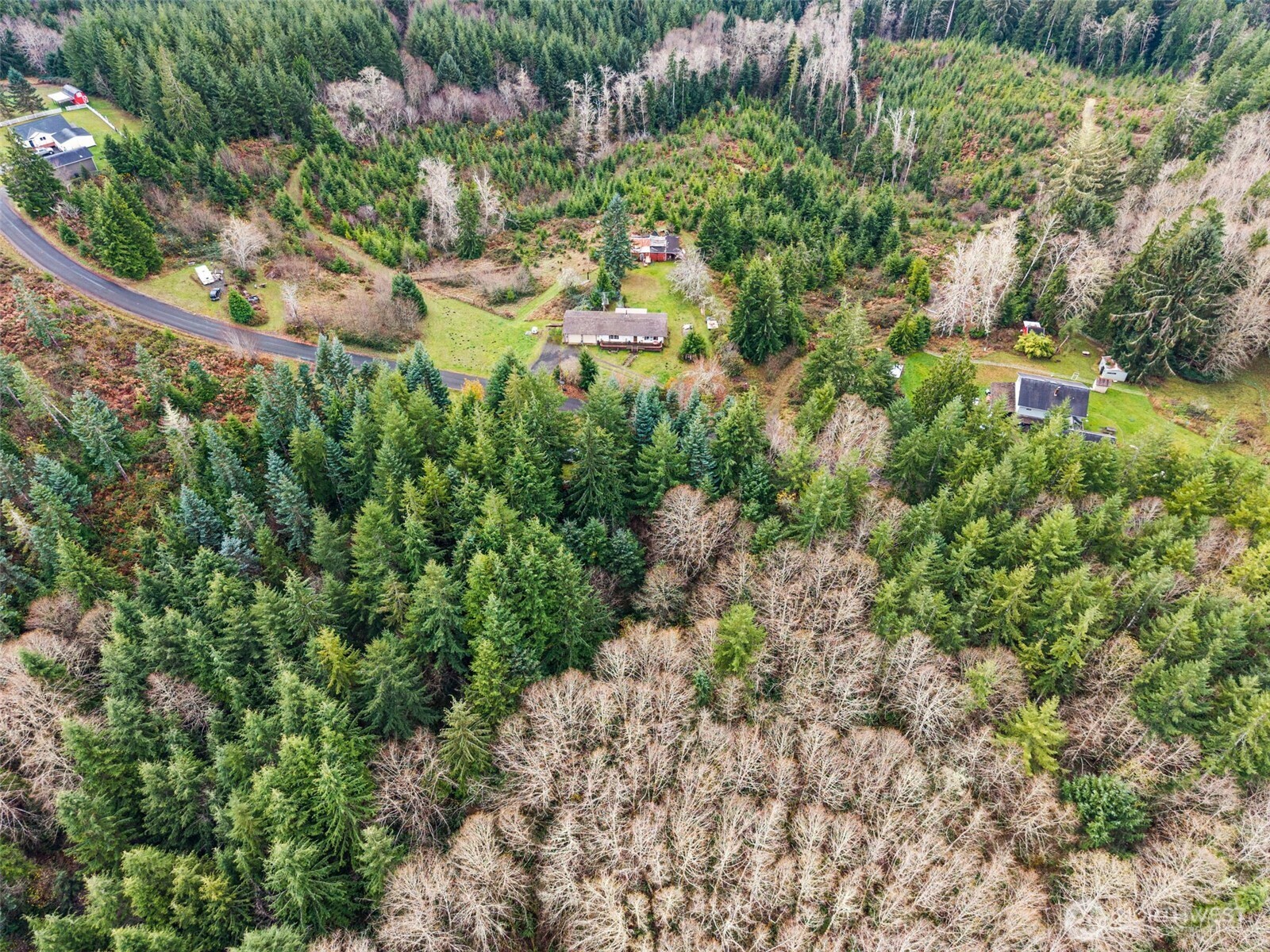 2700 Mallis Landing Road Raymond, WA 98577 - Photo 32 of 33 an aerial view of residential house with outdoor space and trees all around