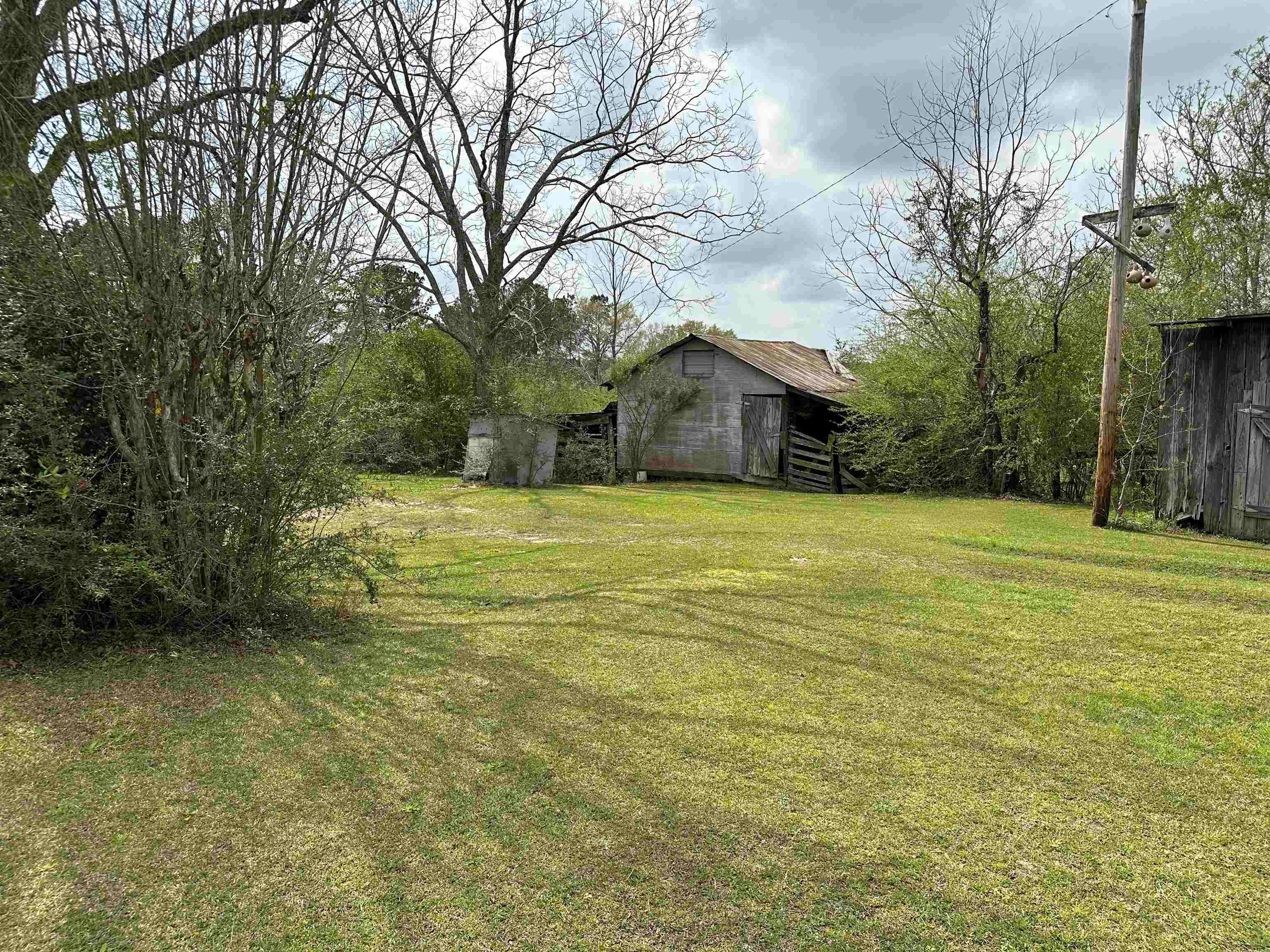 36625 Hesters Store Road Red Level, AL 36474 - Photo 8 of 47 Gallery Image 8