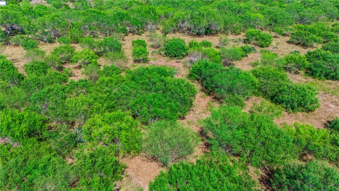 24940 County Road 249 Mathis, TX 78368 - Photo 11 of 14 an aerial view of residential house with outdoor space and trees all around