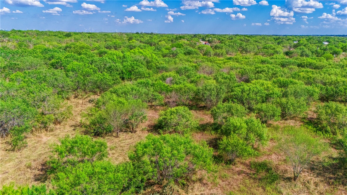 24940 County Road 249 Mathis, TX 78368 - Photo 12 of 14 a view of yard with outdoor space