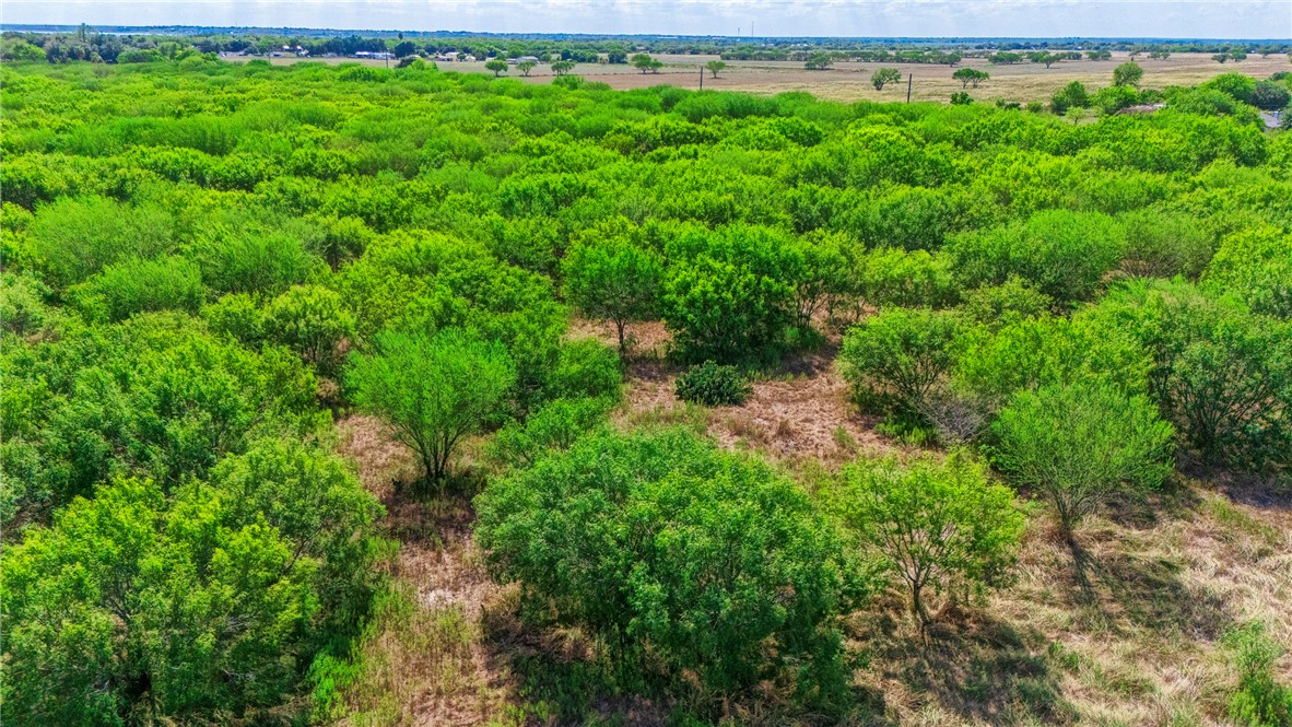 24940 County Road 249 Mathis, TX 78368 - Photo 13 of 14 a view of a yard with plants and a bench