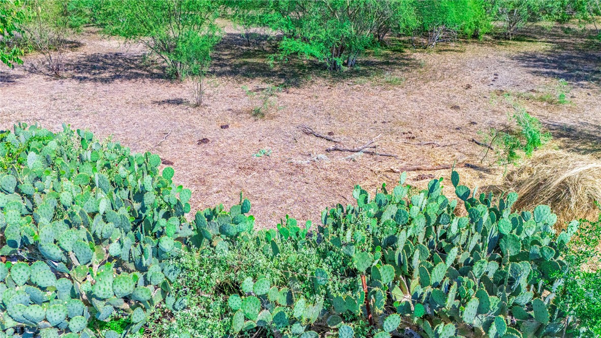 24940 County Road 249 Mathis, TX 78368 - Photo 14 of 14 a backyard of a house with lots of green space