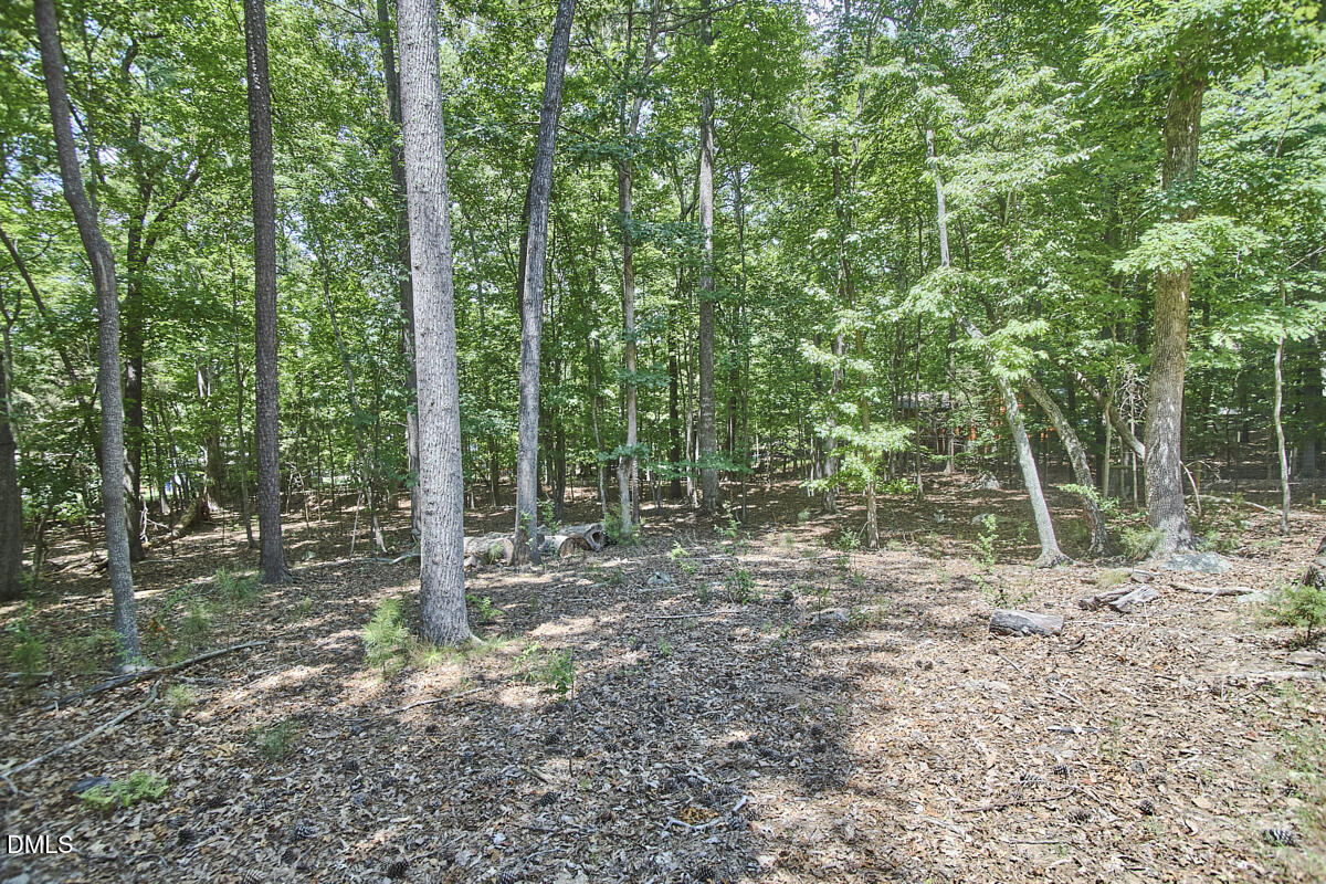 309 Blueridge Road Carrboro, NC 27510 - Photo 47 of 63 036
