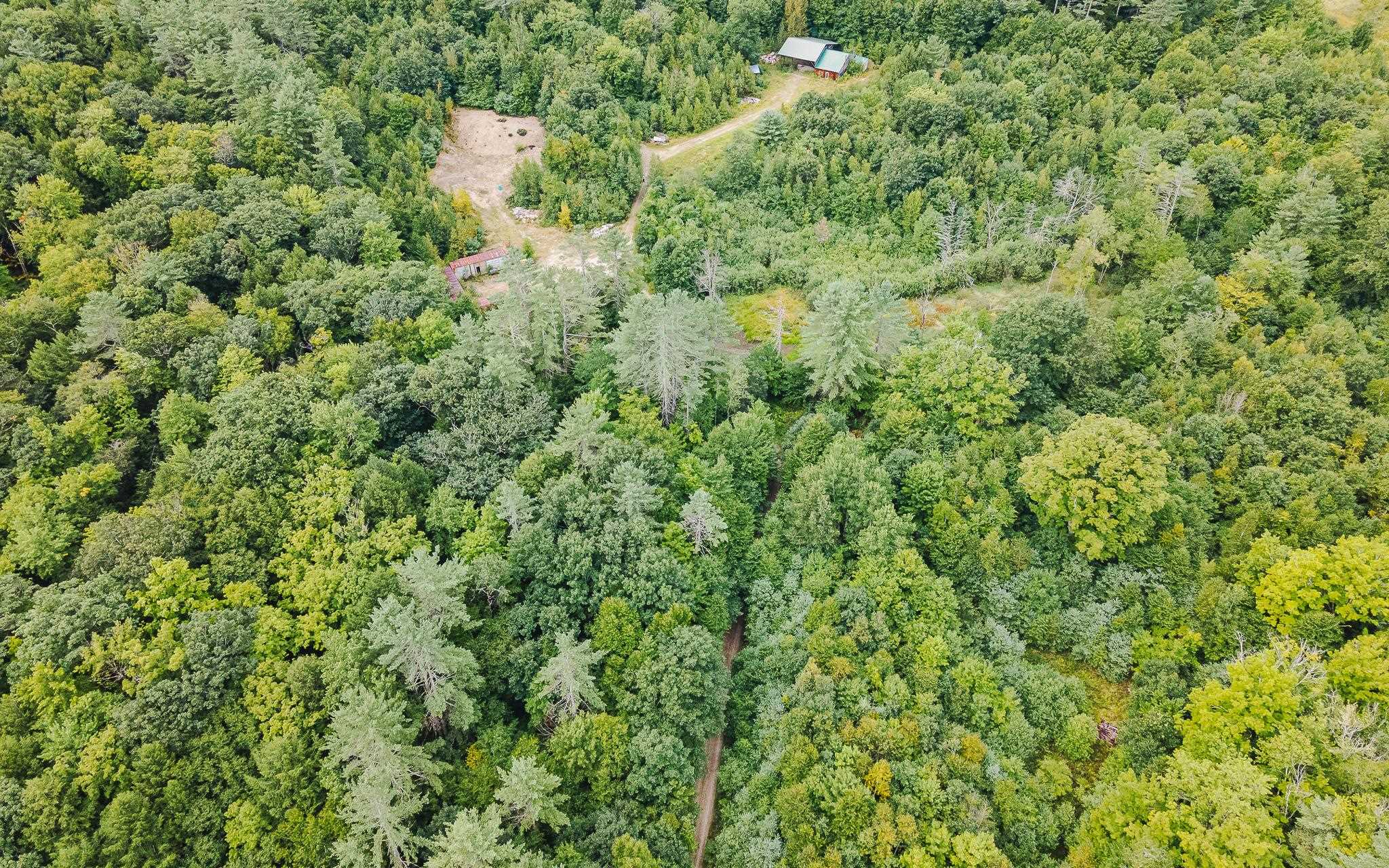 0 Jewett Road Langdon, NH 03602 - Photo 21 of 22