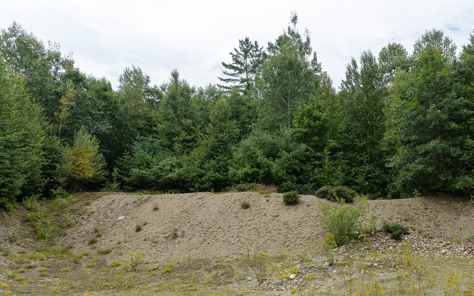 0 Jewett Road Langdon, NH 03602 - Photo 5 of 22