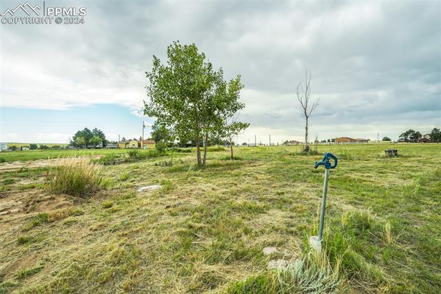 12550 Smith Road Peyton, CO 80831 - Photo 34 of 35 View of yard with a rural view