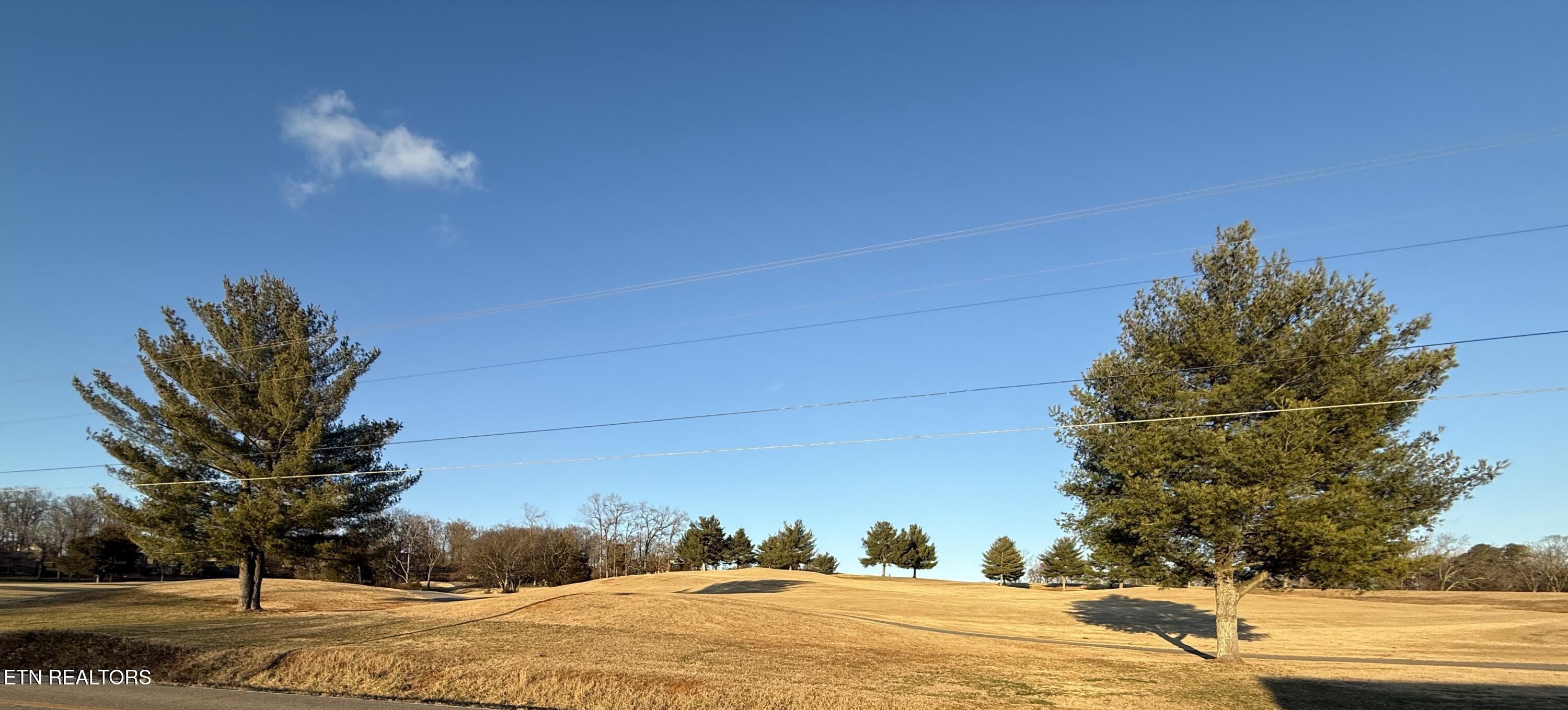 1065 Valley Home Road Dandridge, TN 37725 - Photo 3 of 36 IMG_7031